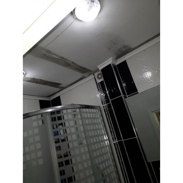 İsonem Ms 82 Nem ve Rutubet Boyası