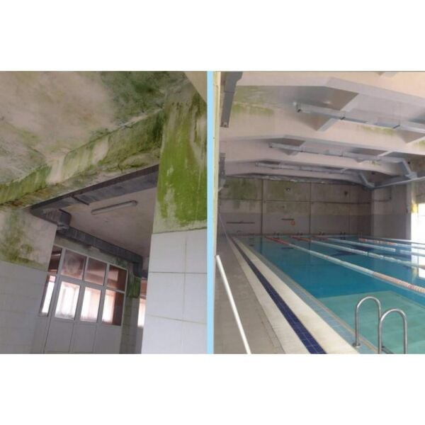 İsonem Ms 82 Nem ve Rutubet Boyası