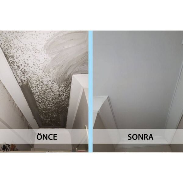 İsonem Ms 82 Nem ve Rutubet Boyası